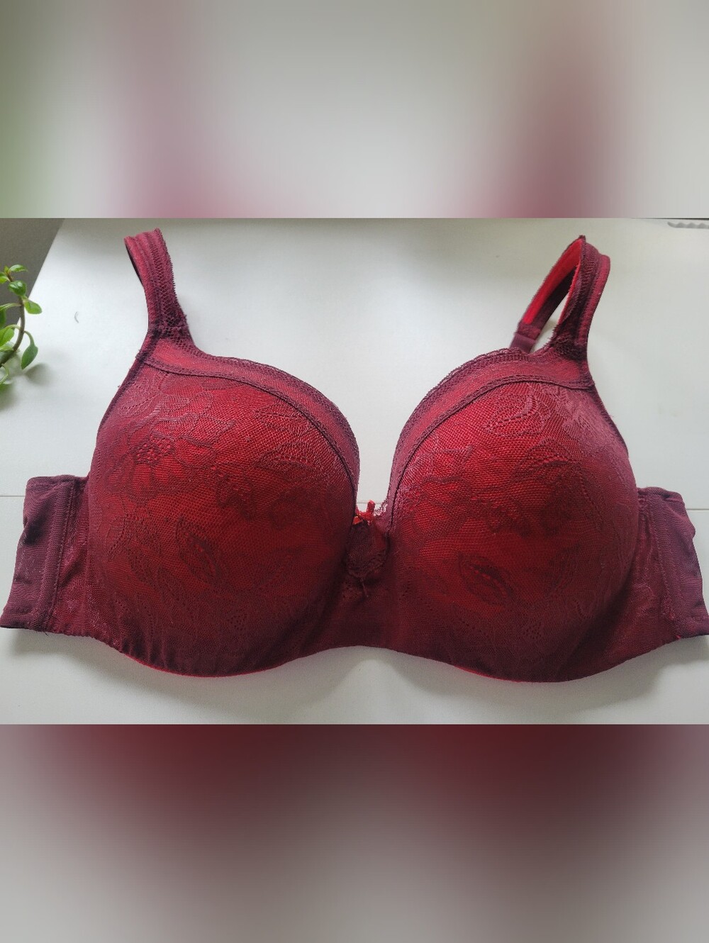Cacique Burgundy Red Lace Full Coverage Underwire Balconette  Bra 40D